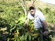 [Green Bean] Elsalvador Los Pirineos Pacamara Natural CM